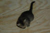 DSC_0007.JPG (2556950 bytes)