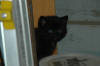 DSC_0012.JPG (2468773 bytes)