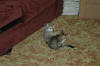 DSC_0013.JPG (2642667 bytes)